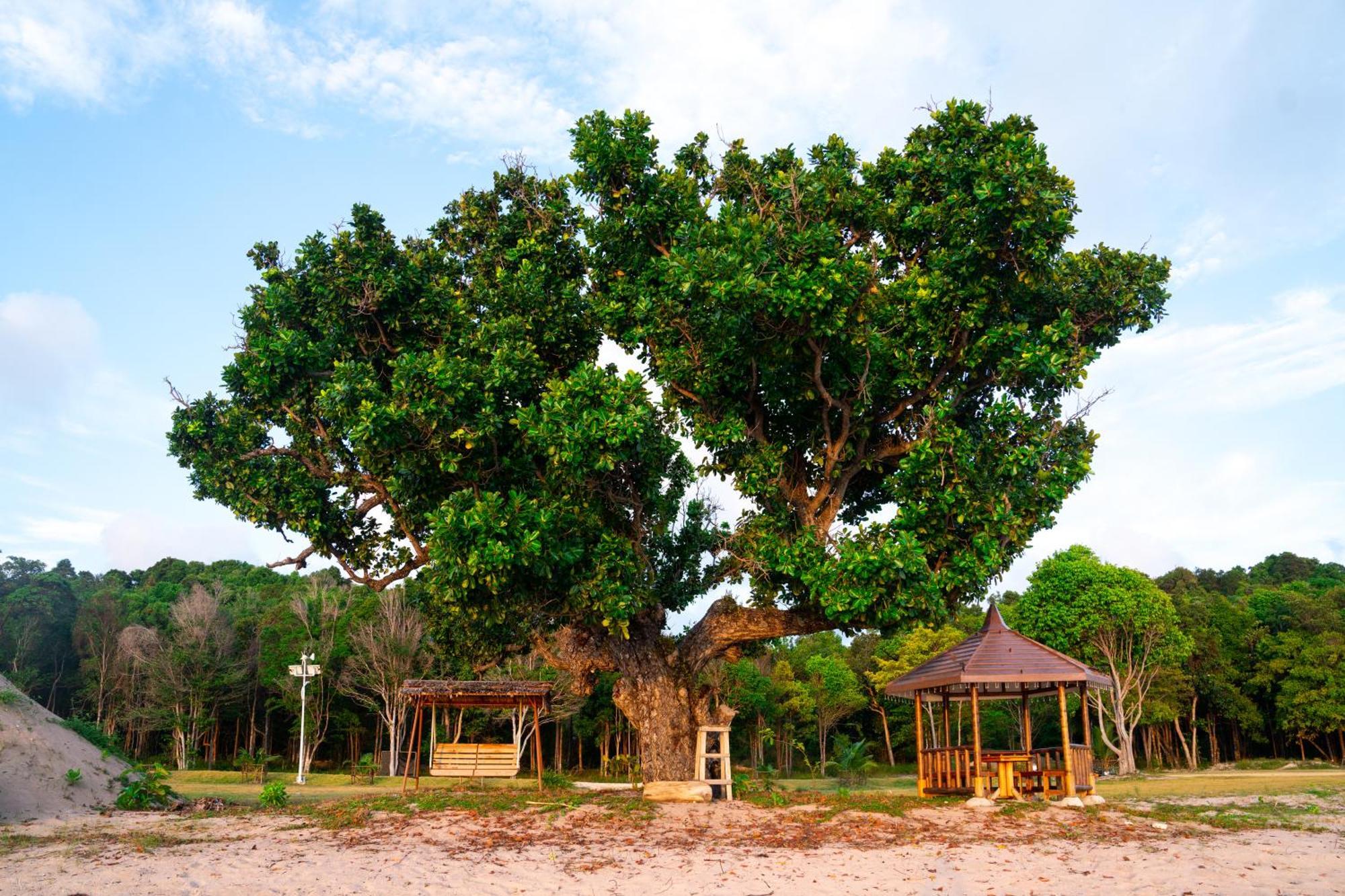 Kepri Coral Resort Galang Island Εξωτερικό φωτογραφία